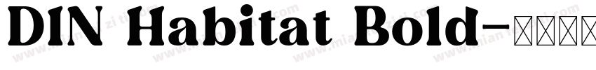 DIN Habitat Bold字体转换